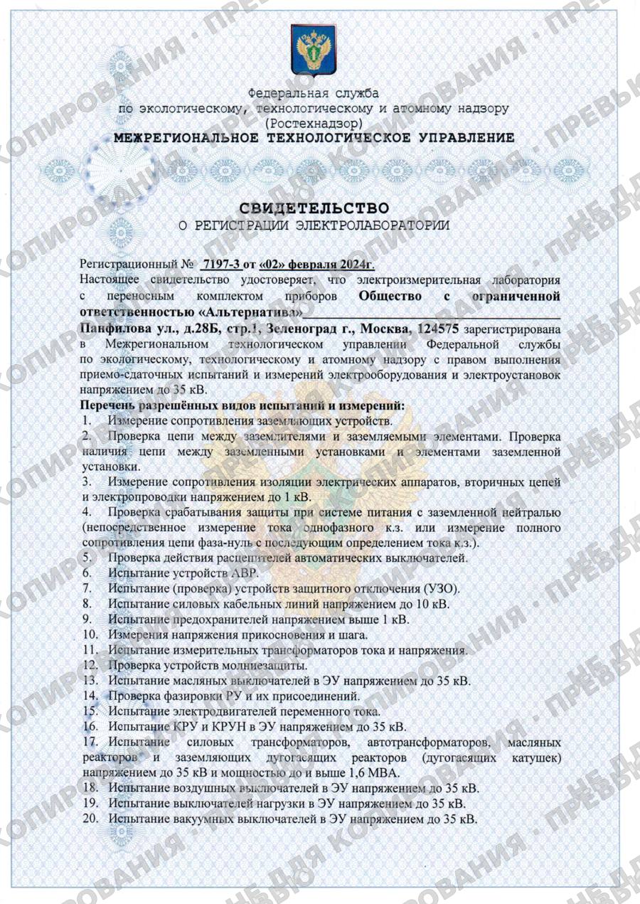 Превью свидетельства о регистрации электролаборатории, страница 1 (водяной знак, без скачивания PDF)